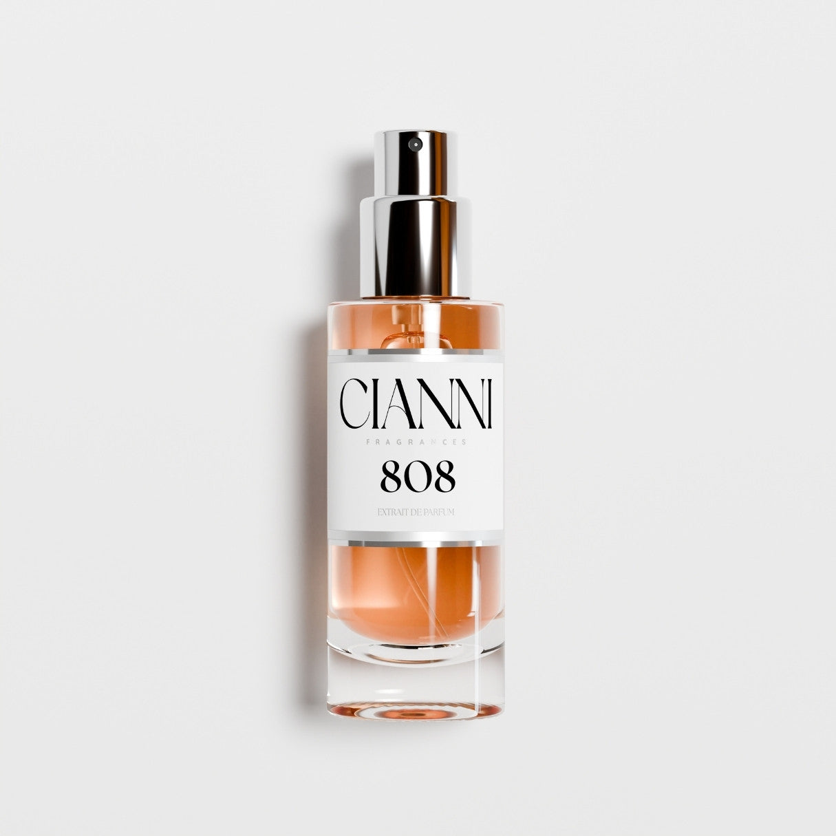 808 - The Love & Shy