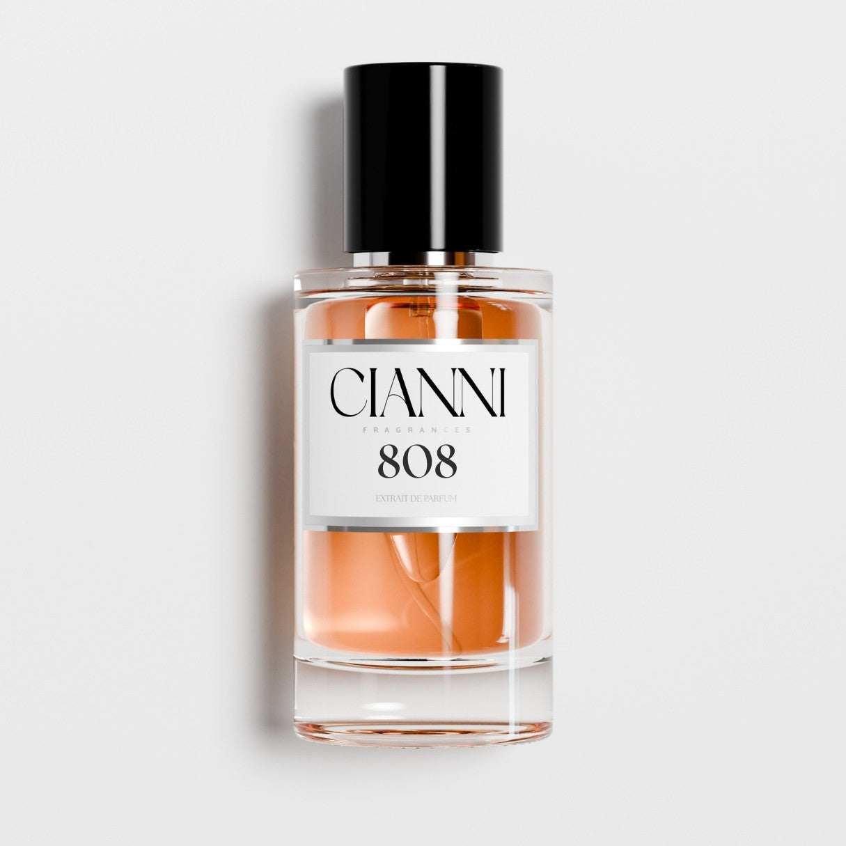 808 - The Love & Shy